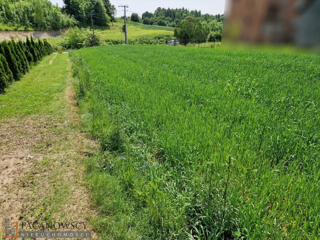 Działka usługowa 30 arów z mediami, do wydzielenia - polecam! Wola Więcławska  3 000m2 Foto 1