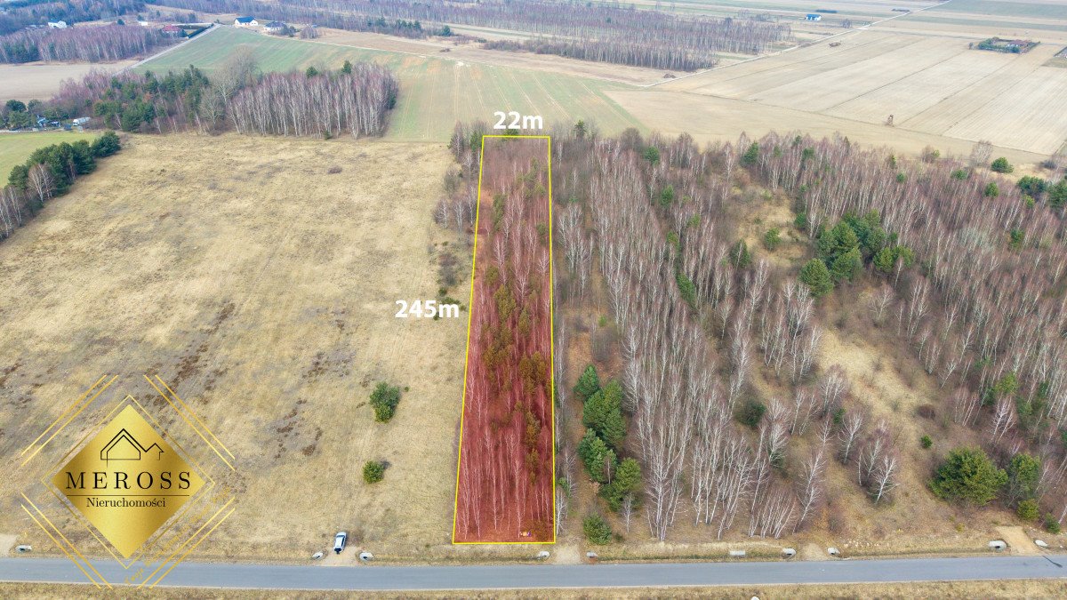 Działka gospodarstwo rolne na sprzedaż Wierzchowisko  5 390m2 Foto 5