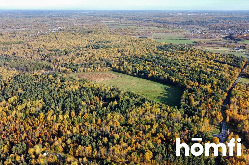 Działka budowlana na sprzedaż Chlewiska  130 600m2 Foto 7