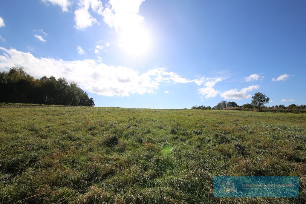 Działka budowlana na sprzedaż Hucisko Jawornickie  7 700m2 Foto 3