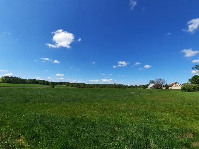 Działka rolna na sprzedaż Kamionki  4 000m2 Foto 8