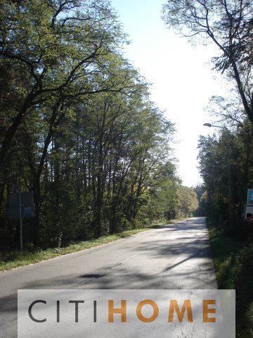Działka leśna na sprzedaż Żanęcin  2 500m2 Foto 4
