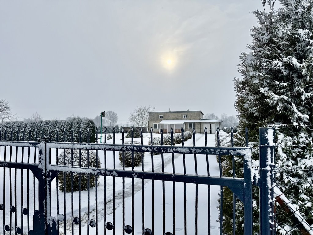 Działka z domem i garażem w spokojnej okolicy, 1470 m² Wodzin Prywatny, Zielona  1 470m2 Foto 1