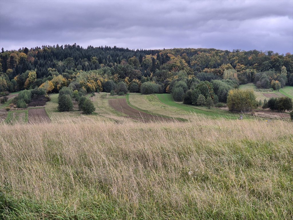 Działka rolna na sprzedaż Długie  1 910m2 Foto 7