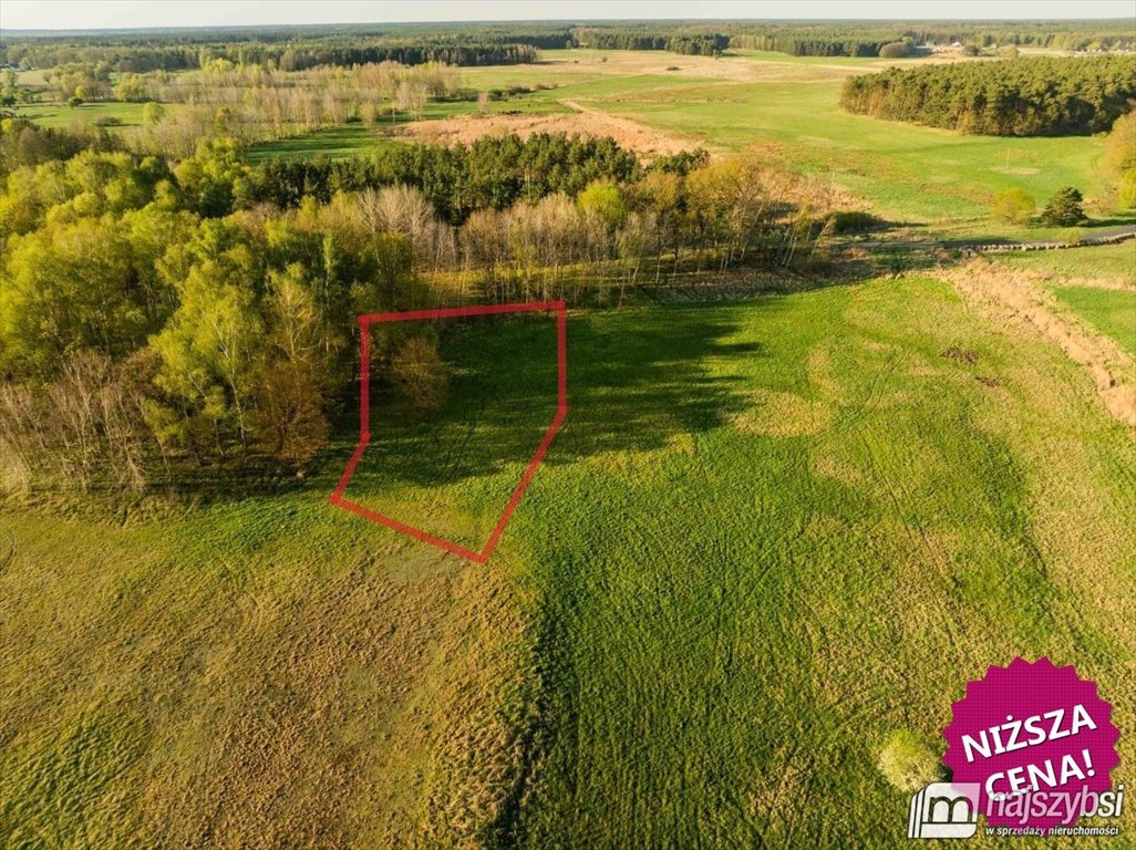 Działka pod dom jednorodzinny, 3822 m2, bez planu Grzepnica, Alabastrowa  3 822m2 Foto 1