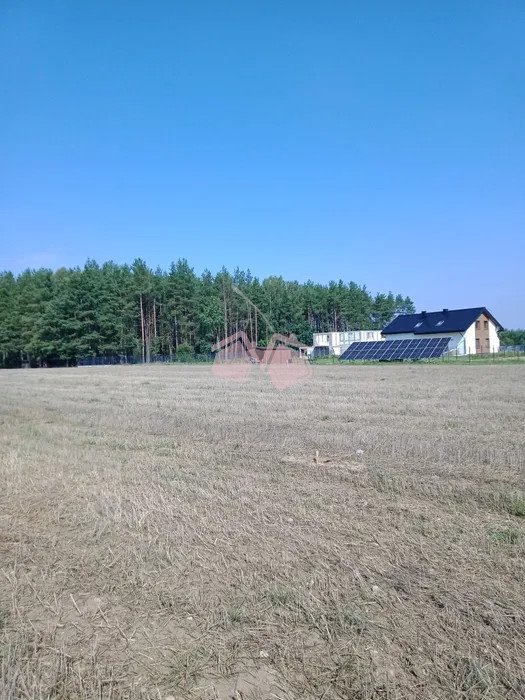 Działka rolna na sprzedaż Kowalewo, Szemudzka  22 000m2 Foto 3