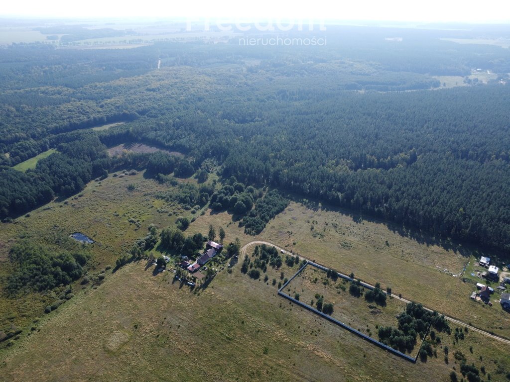 Działka rolna na sprzedaż Lękwica  7 006m2 Foto 4