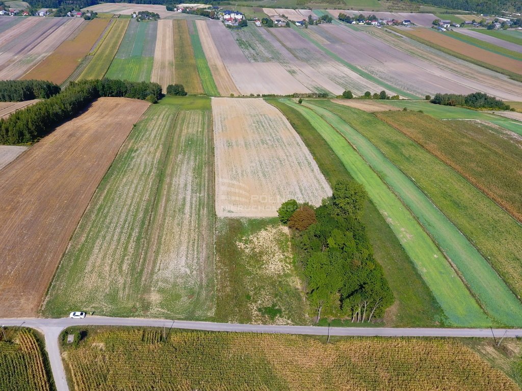 Działka rolna na sprzedaż Racławice  11 100m2 Foto 8