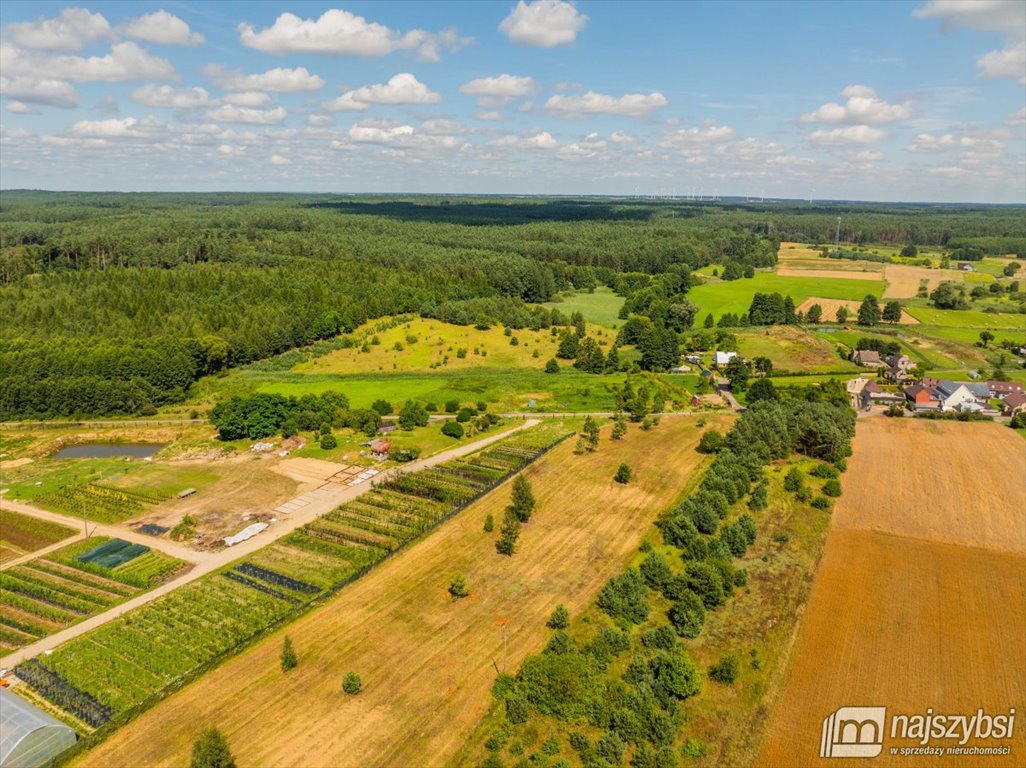 Działka rolna na sprzedaż Chojna  23 200m2 Foto 8