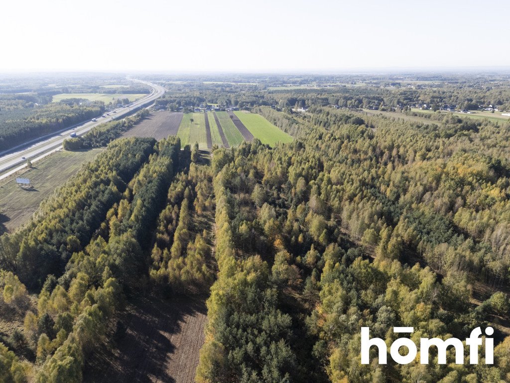 Działka inna na sprzedaż Kacprowice  4 100m2 Foto 2