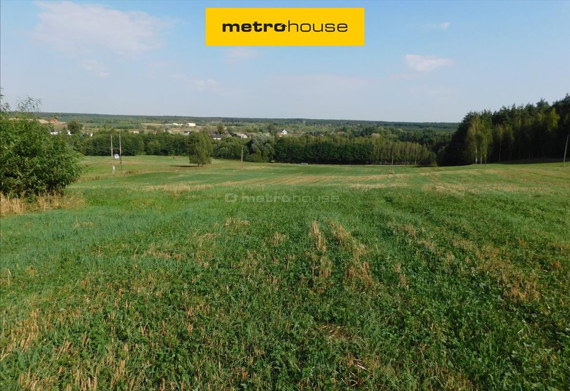 Zapraszam do obejrzenia malowniczej działki 4 ha z rzeką i widokami Ciechocin  40 000m2 Foto 1