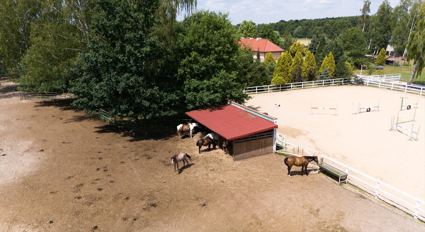 Dom na sprzedaż Michałów  400m2 Foto 2