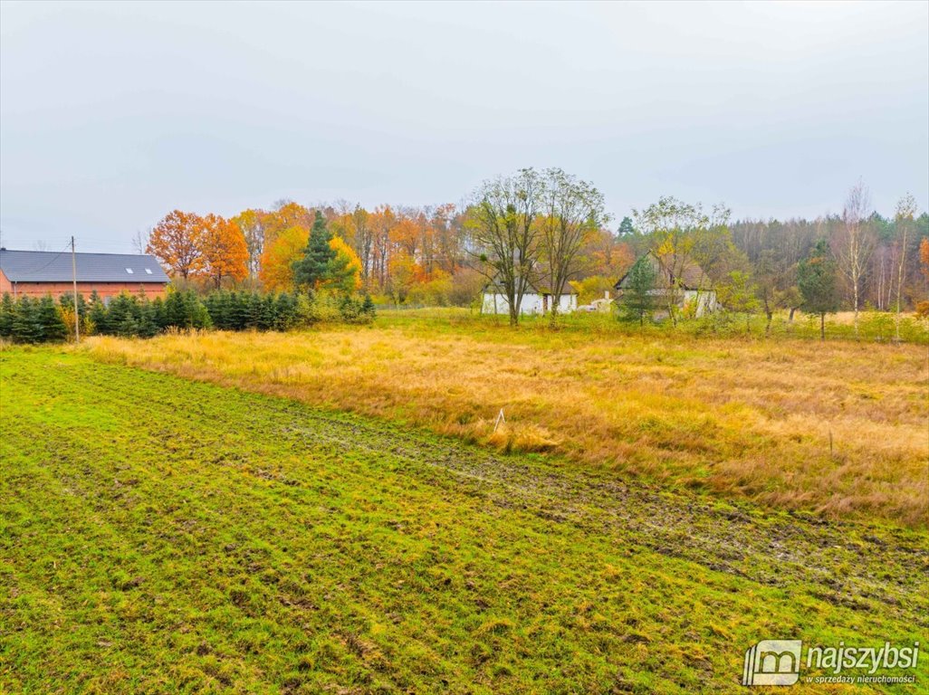 Działka budowlana na sprzedaż Węgorza, Wieś  1 500m2 Foto 6