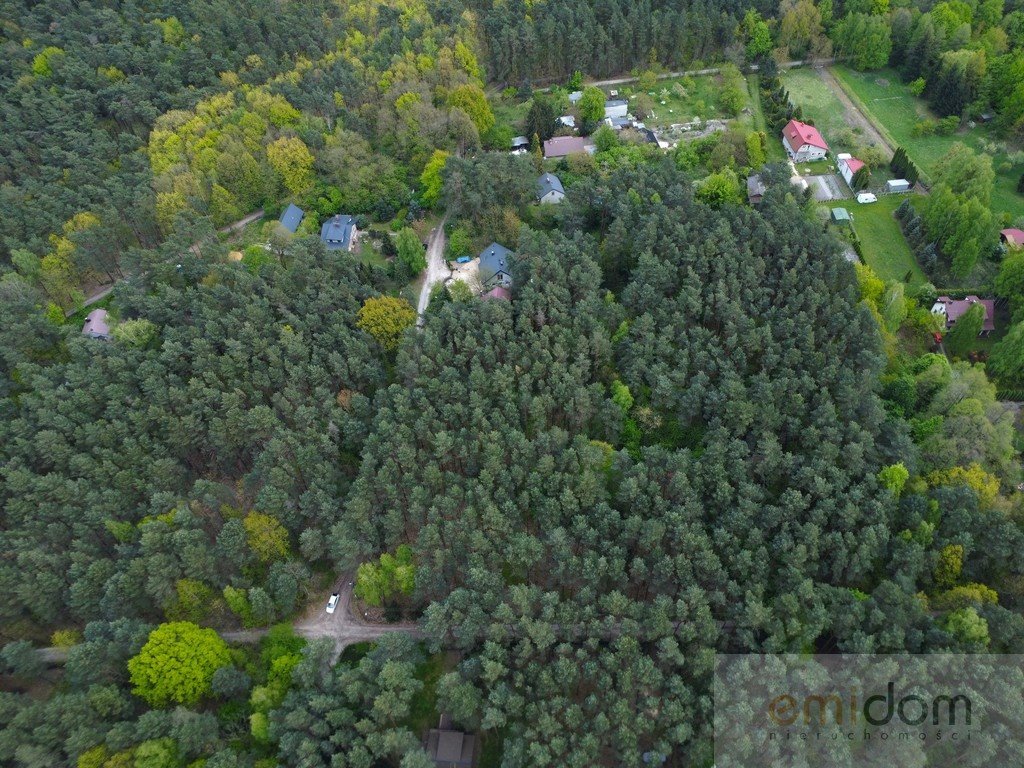 Działka leśna na sprzedaż Siestrzeń  3 000m2 Foto 5