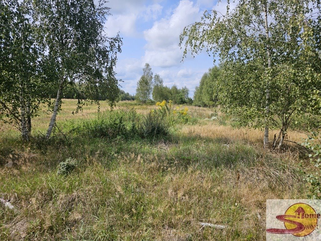 Działka rolna 15 000 m² z warunkami zabudowy i mediami. Ryków  15 000m2 Foto 1