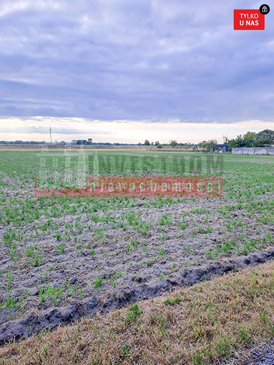 Działka inna na sprzedaż Opole, Grotowice  5 197m2 Foto 1