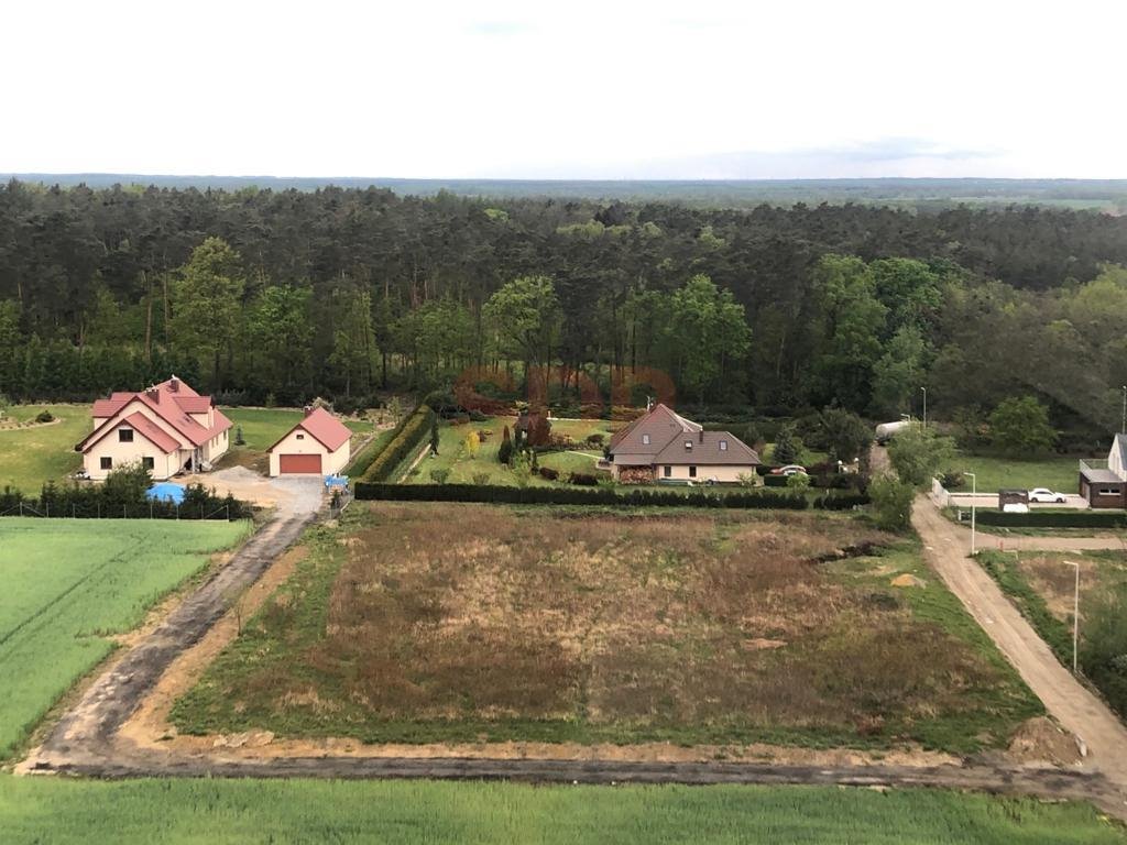 Działka budowlana na sprzedaż Brzezina  5 000m2 Foto 5