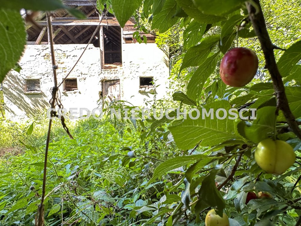 Dom na sprzedaż Gradki  80m2 Foto 19