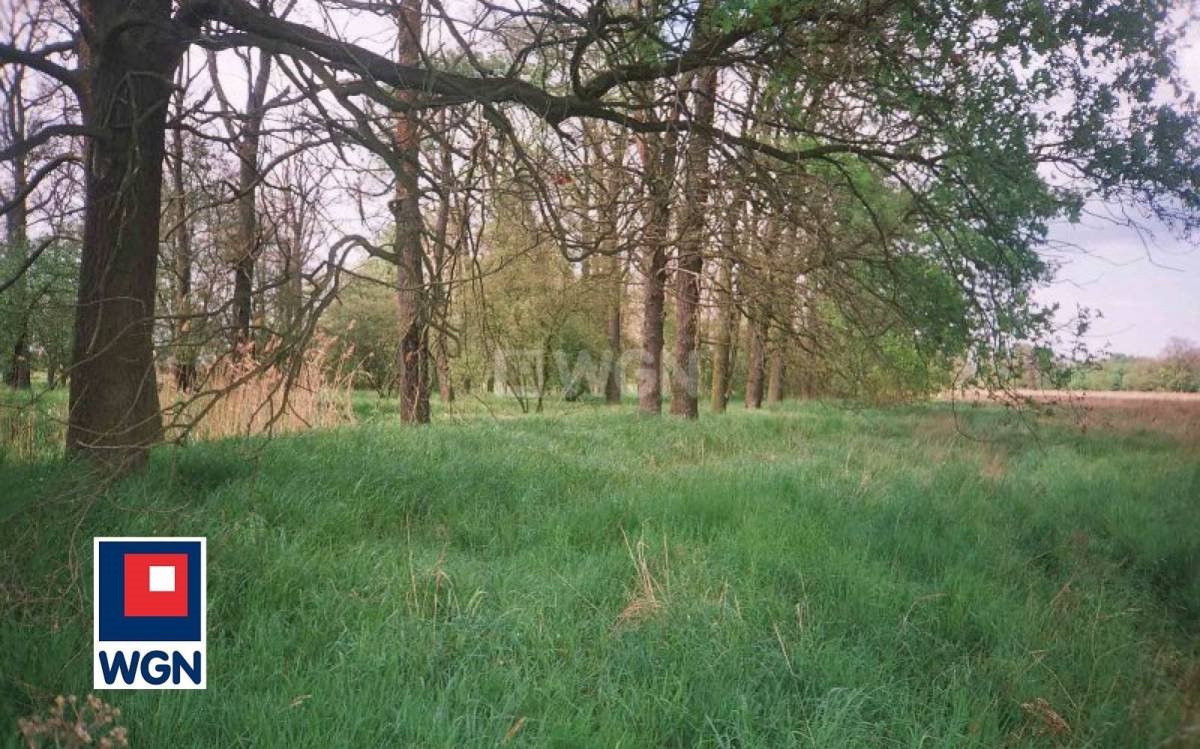 Działka rolna na sprzedaż Uraz, Uraz  66 000m2 Foto 1