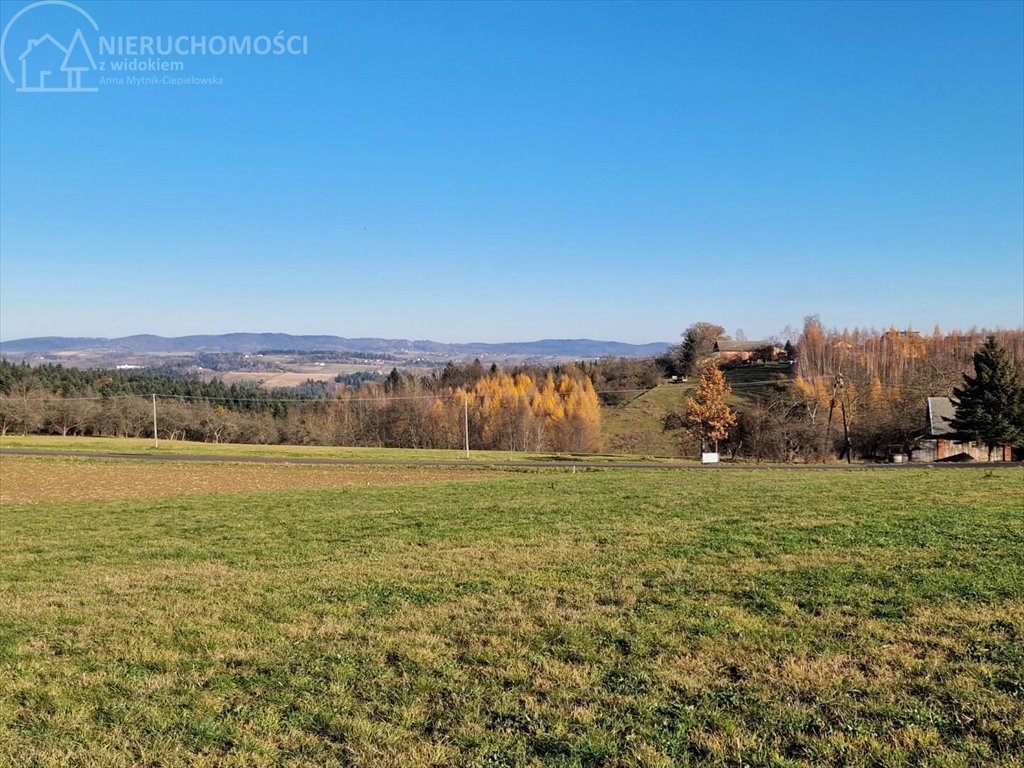 Działka budowlana na sprzedaż Turza  2 517m2 Foto 5