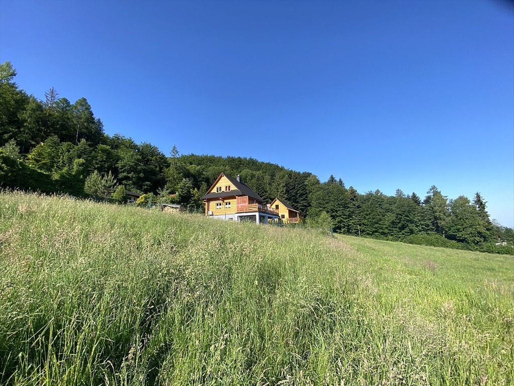 Działka budowlana na sprzedaż Ustroń, Lipowska  1 010m2 Foto 5