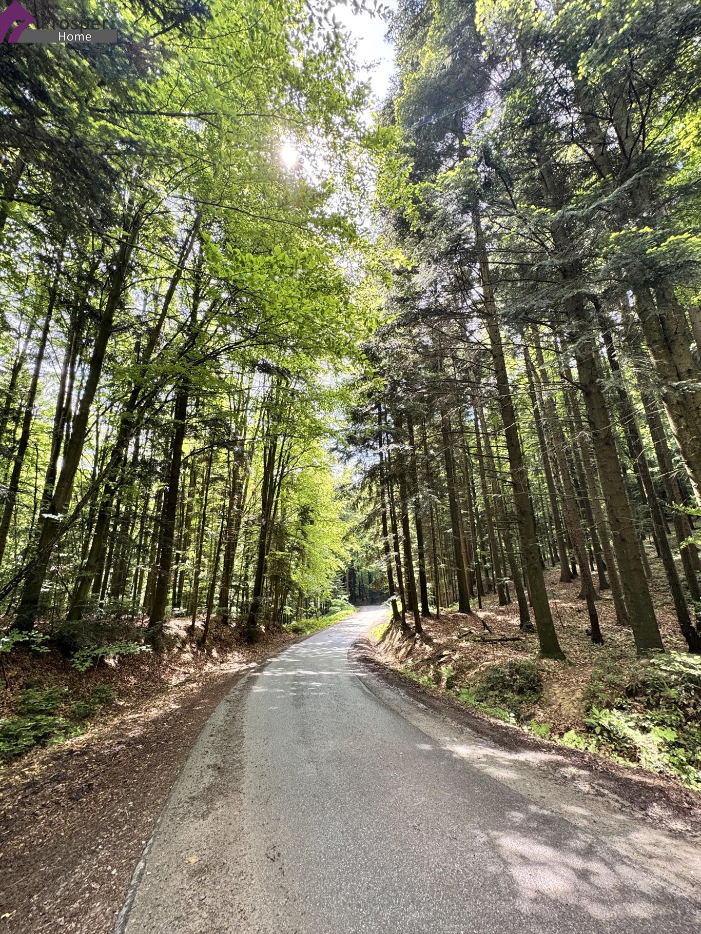 Sprzedam działkę z własnym źródłem i lasem w Gwoźnicy Dolnej Gwoźnica Dolna, Gwoźnica Dolna  9 900m2 Foto 1