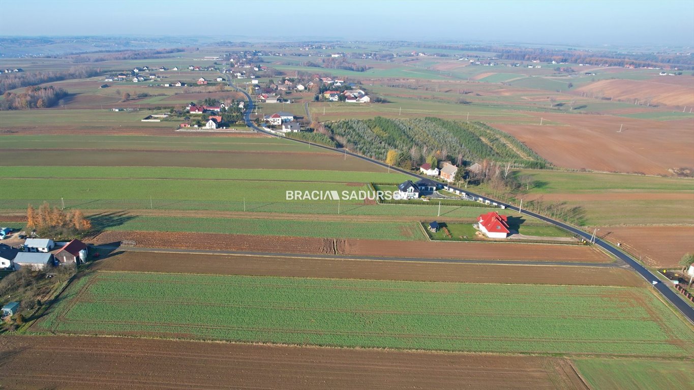 Działka budowlana na sprzedaż Celiny, Widokowa  4 200m2 Foto 6