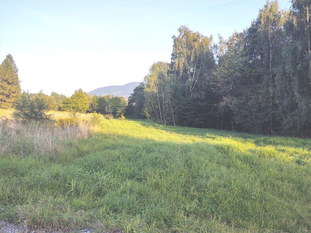 Działka budowlana 2639 m2 z warunkami zabudowy i mediami Bielsko-Biała, Lipnik  2 639m2 Foto 1