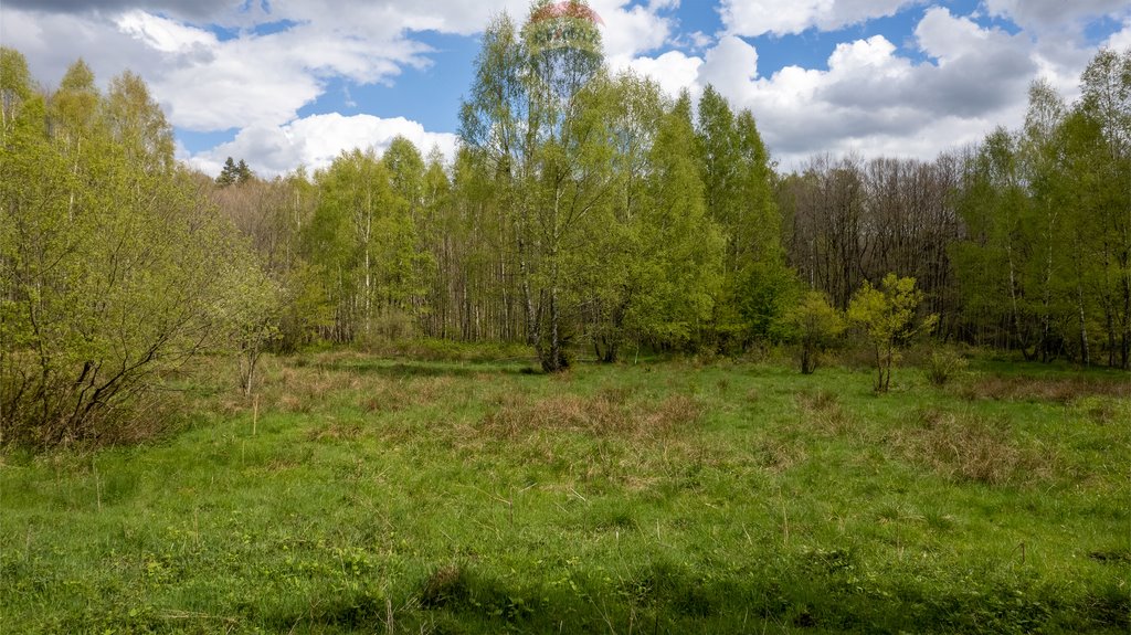 Działka budowlana na sprzedaż Buszyno  17 106m2 Foto 6