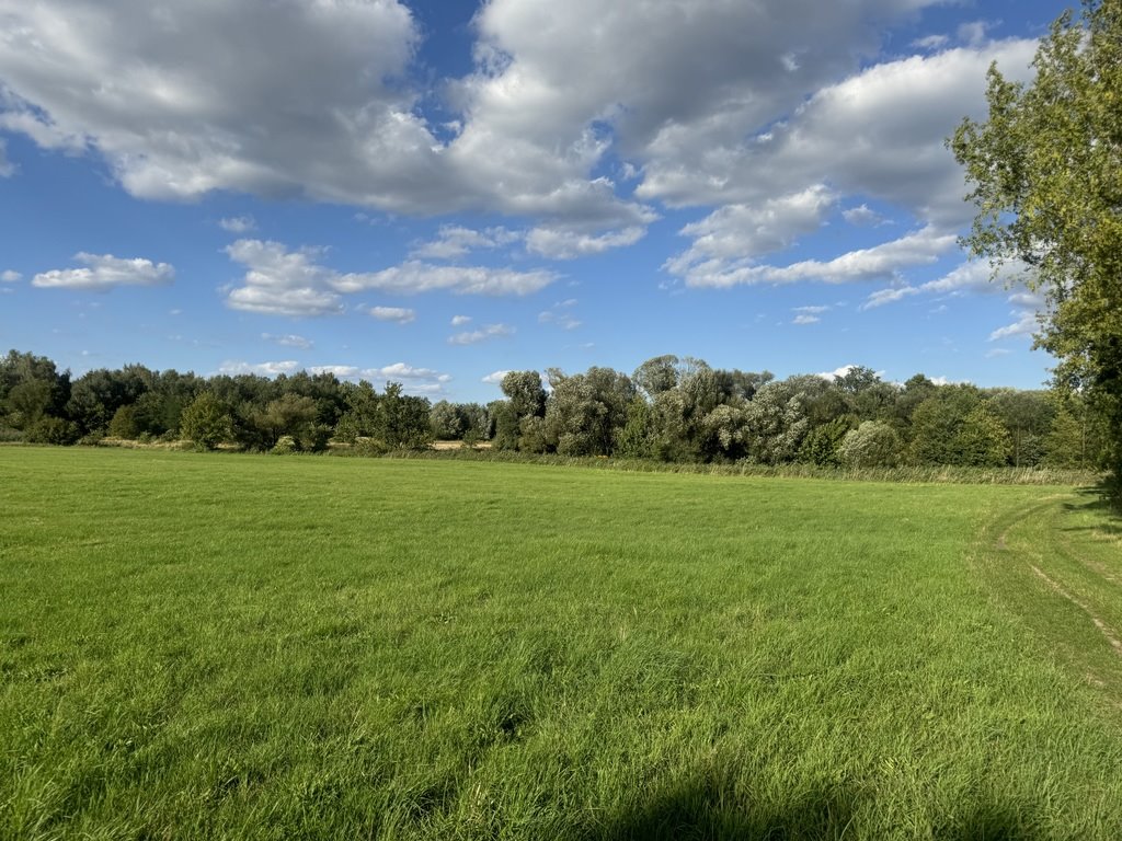 Działka rolna na sprzedaż Pabianice  20 000m2 Foto 7