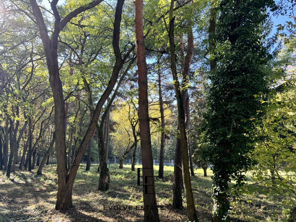 Działka budowlana na sprzedaż Konstancin-Jeziorna, Zielna  3 700m2 Foto 9