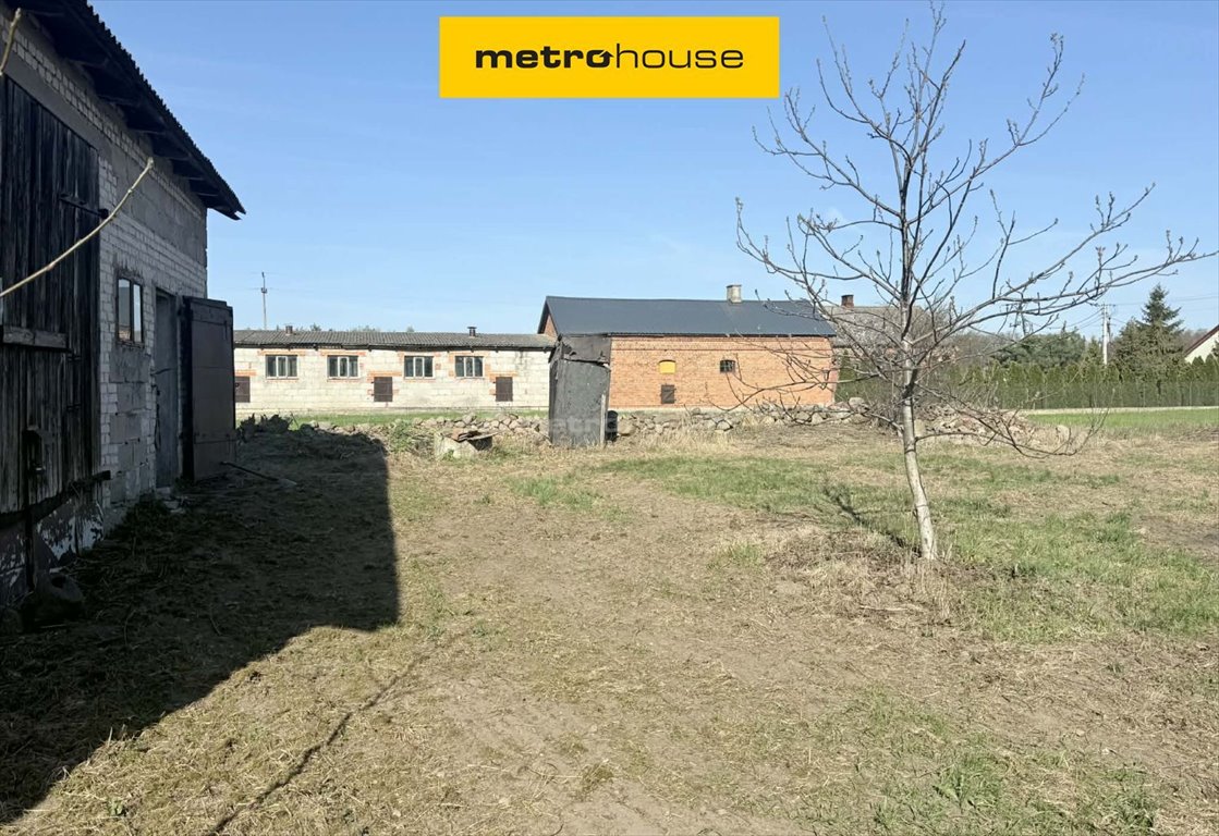 Na sprzedaż 4,28 ha ziemi z zabudową w Krubinie Krubin  42 800m2 Foto 1
