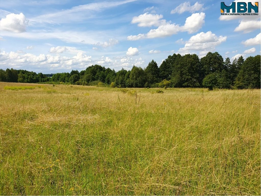 Działka rekreacyjna na sprzedaż Harsz, Harsz  4 720m2 Foto 15