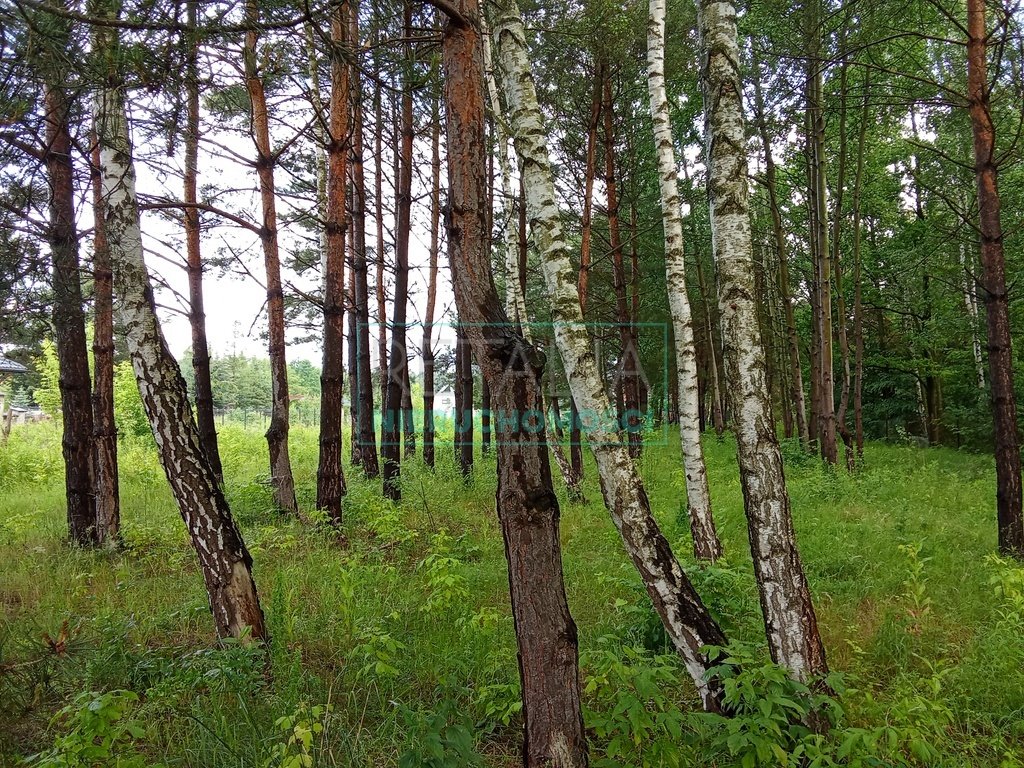 Działka budowlana na sprzedaż Stara Wieś  1 520m2 Foto 1