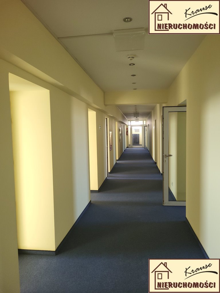 Lokal użytkowy na wynajem Poznań, Grunwald  370m2 Foto 17