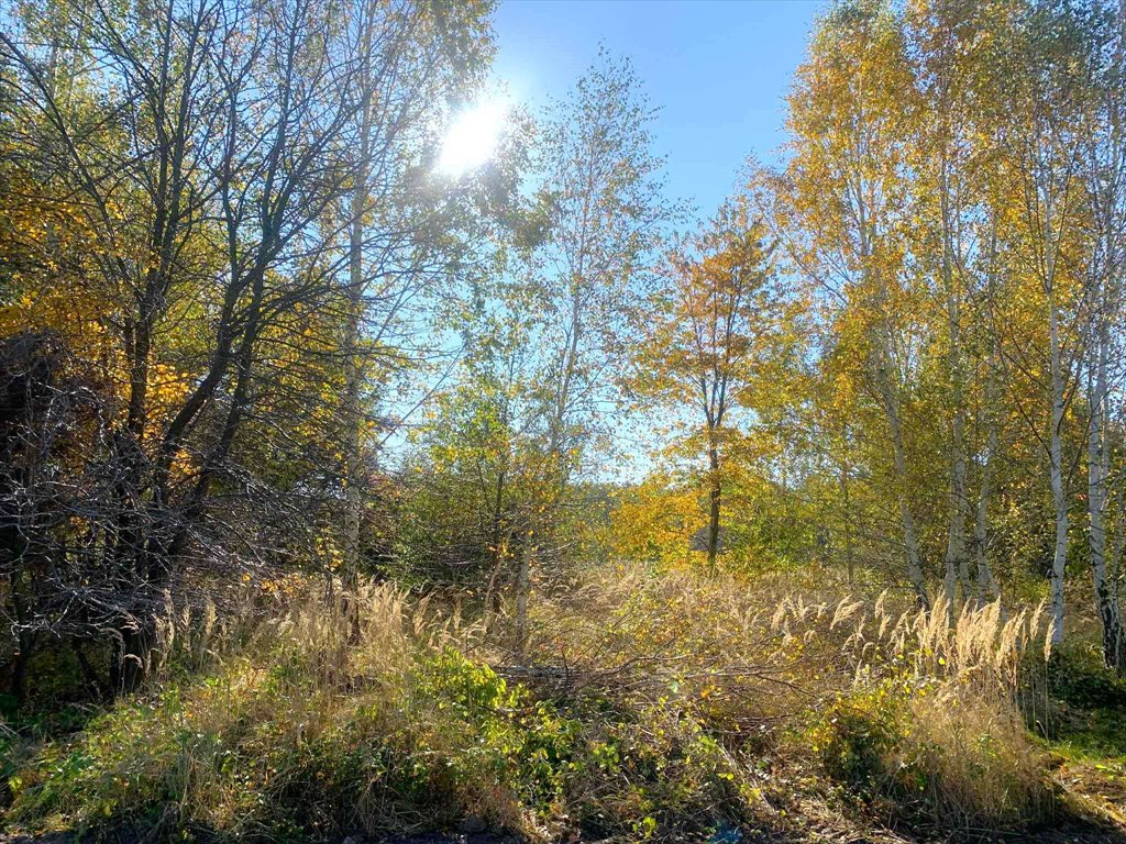 Malownicza działka 1227 m² z warunkami zabudowy w Kałku Kałek, Kałek  1 227m2 Foto 1