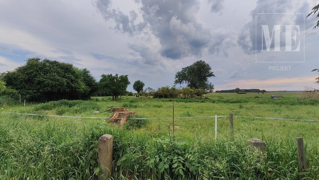 Działka budowlana na sprzedaż Gąsierzyno, Wojska Polskiego  3 000m2 Foto 9