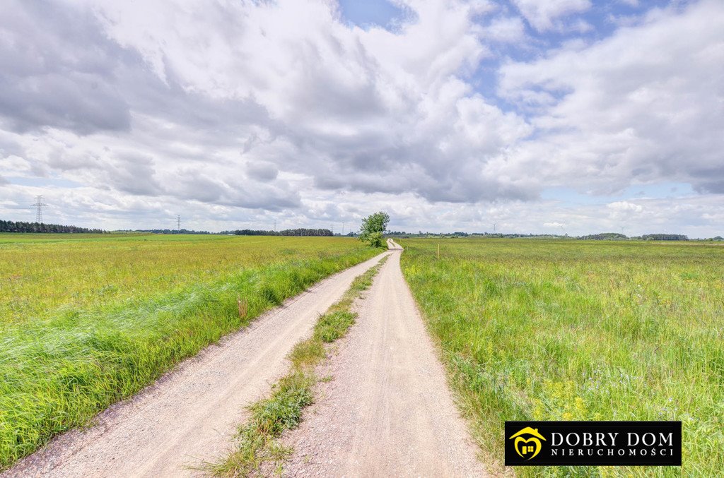 Działka rolna na sprzedaż Turówka Stara  3 001m2 Foto 15