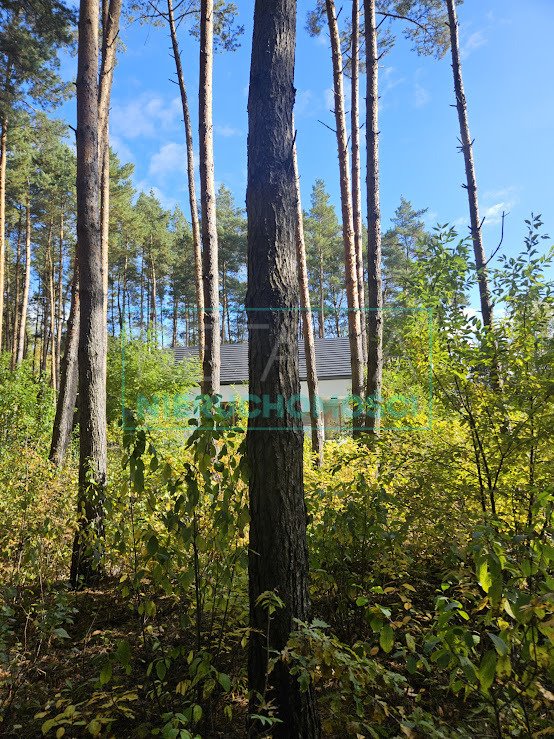 Działka budowlana na sprzedaż Bieniewiec  1 864m2 Foto 1