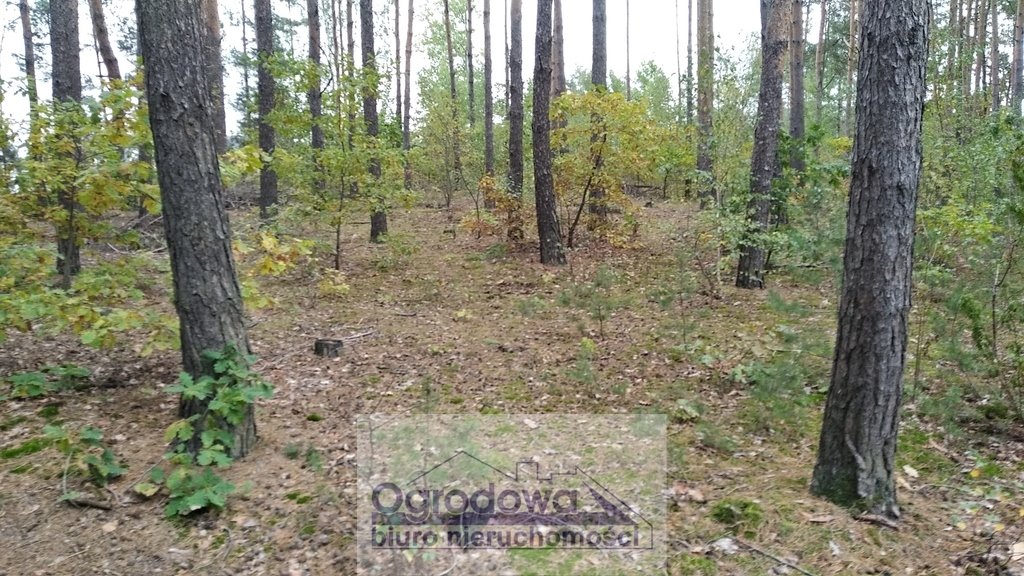 Działka 1350 m² z MPZP, las, media, blisko Warszawy Wilcza Góra  1 350m2 Foto 1