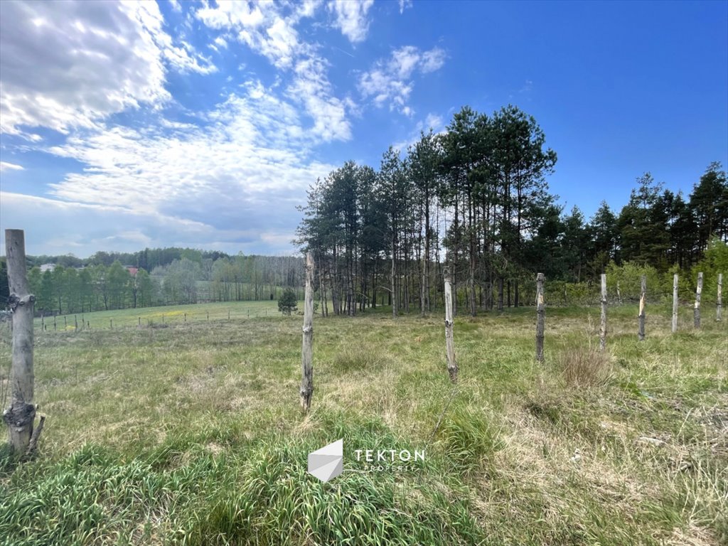 Przestronna działka 3168 m² w Kłosowie – idealna na wymarzoną inwestycję Kłosowo  3 168m2 Foto 1
