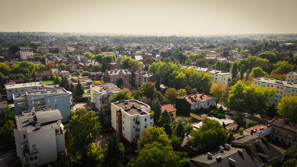 Działka budowlana na sprzedaż Pabianice, Marii Konopnickiej  351m2 Foto 8