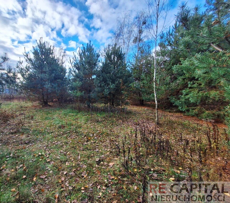 Działka budowlana na sprzedaż Zielonki-Wieś, płk. Antoniego Tomczyka  1 214m2 Foto 5