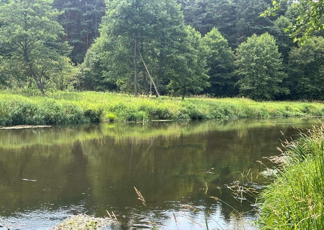 Działka rekreacyjna na sprzedaż Dworszowice Kościelne  780m2 Foto 11