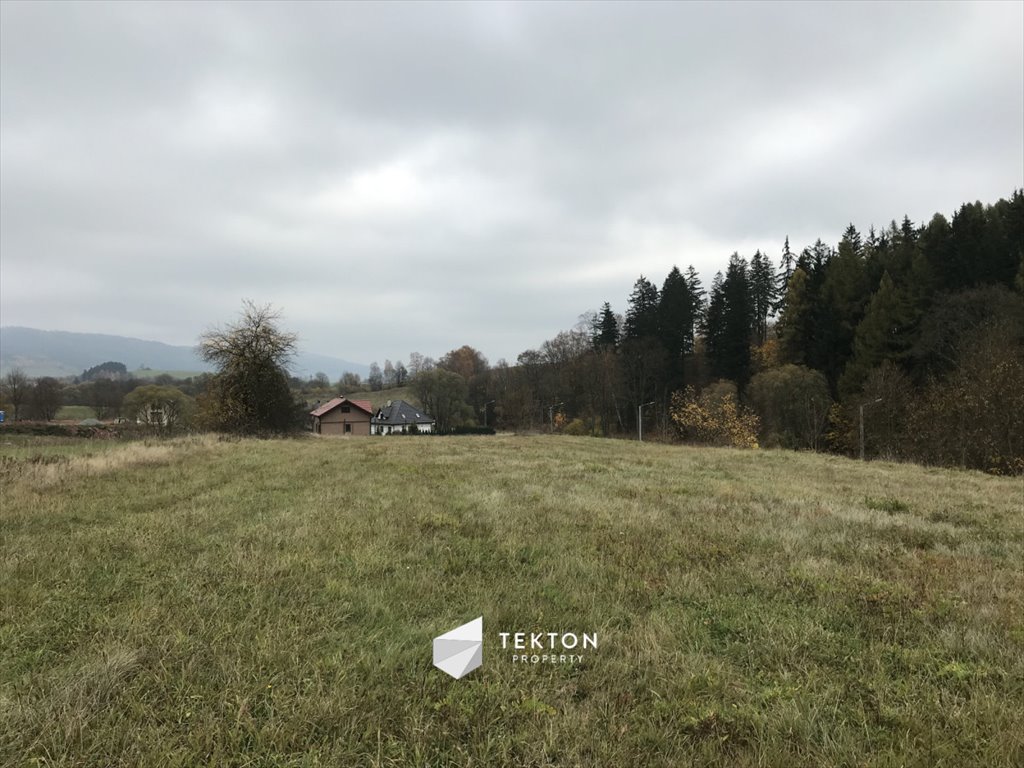 Działka budowlana na sprzedaż Mieroszów, Kwiatowa  11 500m2 Foto 3