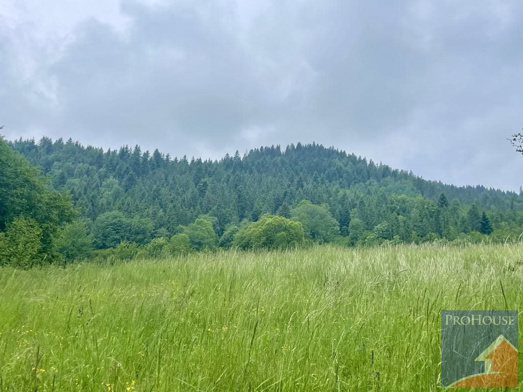 Działka rolna na sprzedaż Kamienica  5 600m2 Foto 3