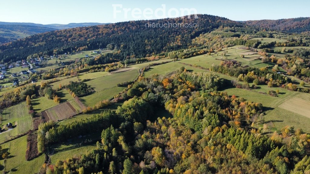 Działka rolna na sprzedaż Posada Górna  3 600m2 Foto 3