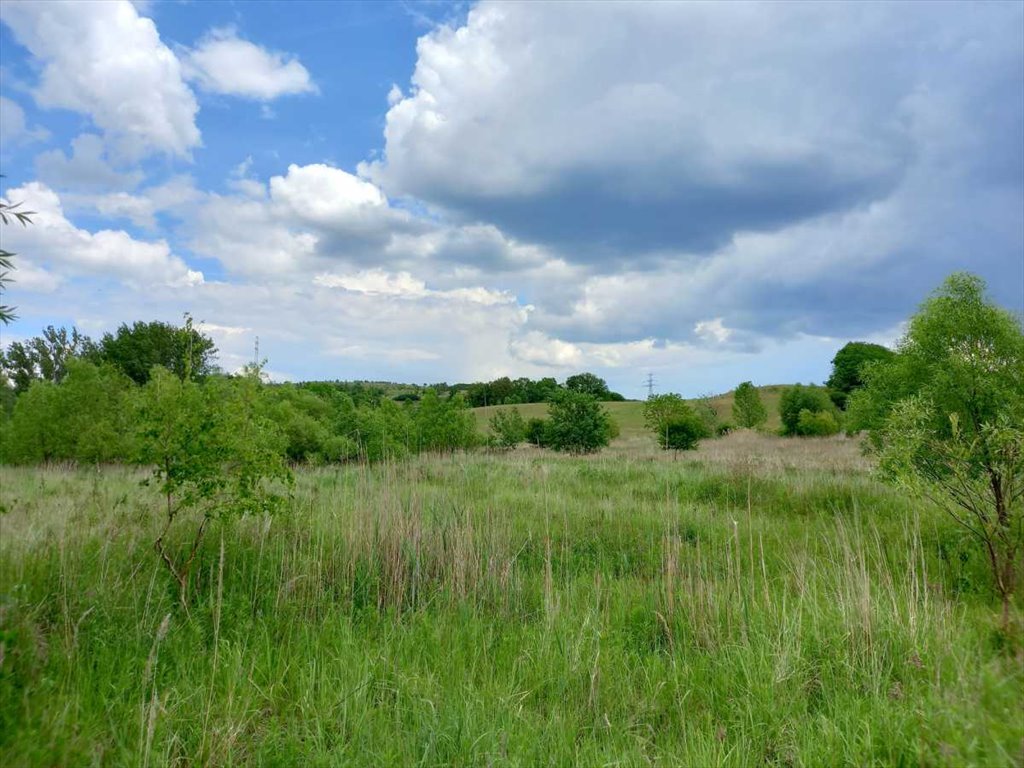 Działka budowlana na sprzedaż Chwaliszów, Chwaliszów  52 000m2 Foto 16