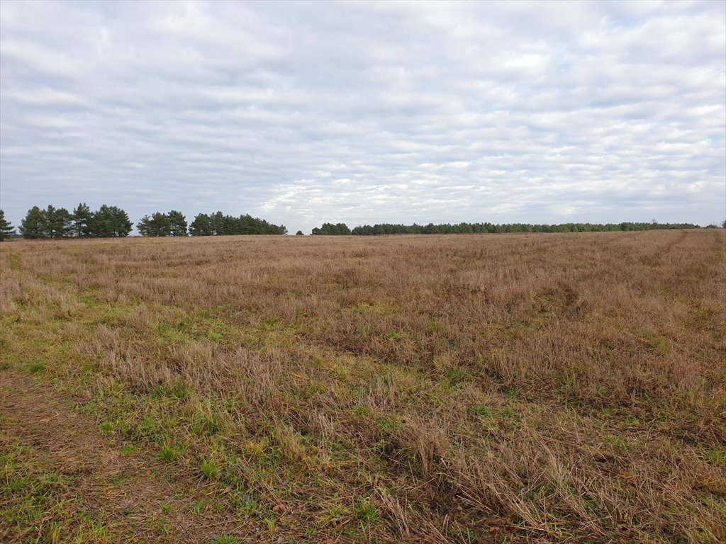 Działka rolna z warunkami zabudowy w Żabinku – 35,72 ha Żabinek  36m2 Foto 1