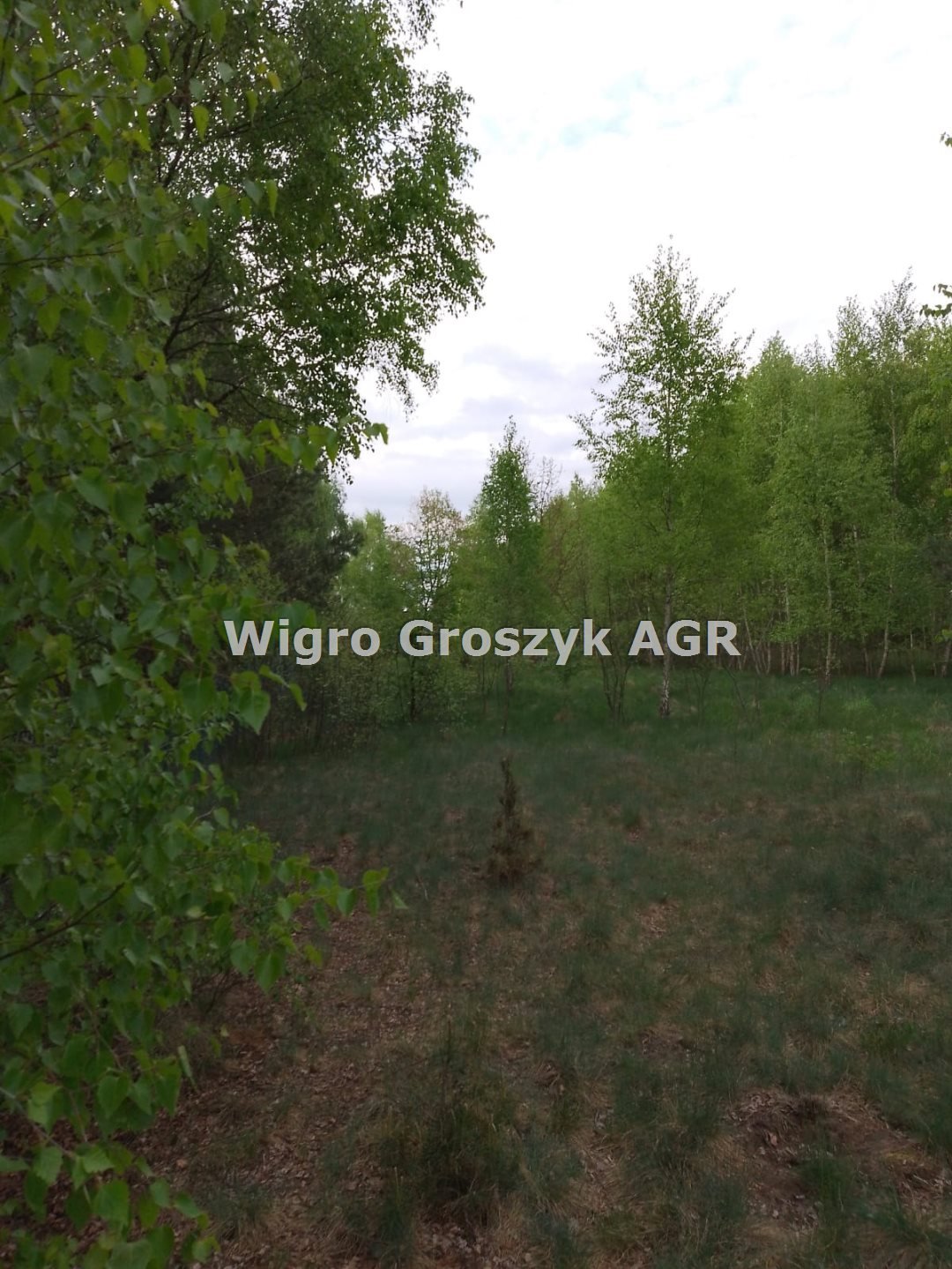 Do sprzedania działka 8087 m² pod siedlisko i rekreację Adamówek  8 087m2 Foto 1